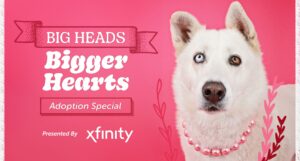 Large Dog Adoption Special banner