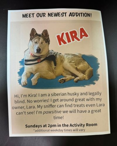 Poster of Kira the Husky