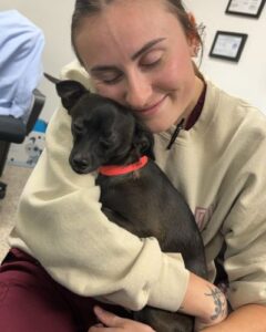 Small black dog getting a hug