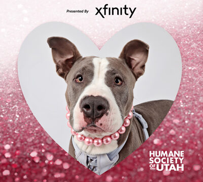 Xfinity Big Heads Bigger Hearts Adoption Special