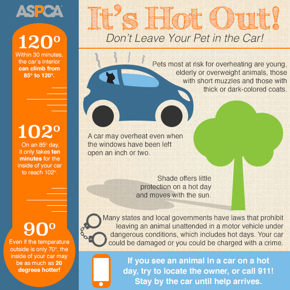 A graphic from the ASPCA outlines the dangers of leaving pets in a hot car