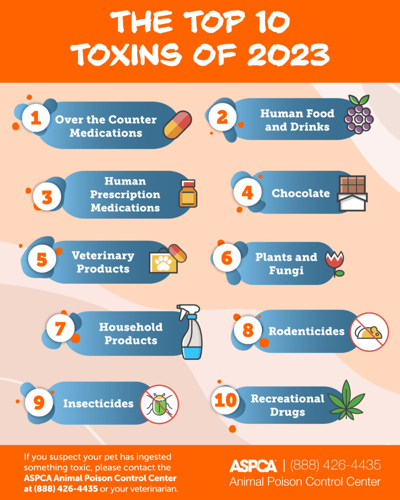 A graphic from the ASPCA lists off the top pet poison prevention hazards of 2023.