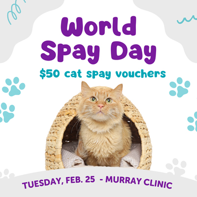 World Spay Day